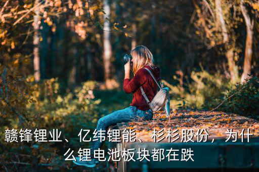 贛鋒鋰業(yè)、億緯鋰能、杉杉股份，為什么鋰電池板塊都在跌