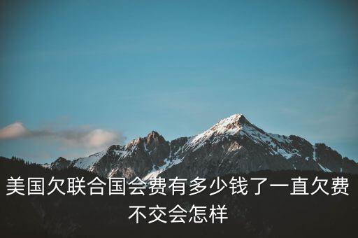 美國(guó)欠聯(lián)合國(guó)會(huì)費(fèi)有多少錢了一直欠費(fèi)不交會(huì)怎樣
