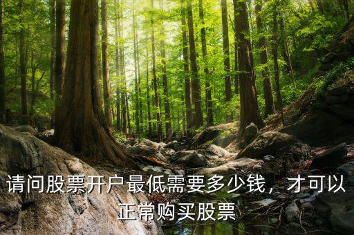 請(qǐng)問股票開戶最低需要多少錢，才可以正常購(gòu)買股票