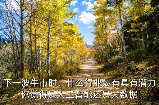下一波牛市時，什么行業(yè)最有具有潛力你覺得是人工智能還是大數(shù)據(jù)