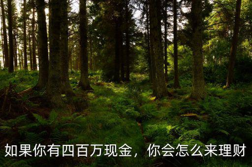 如果你有四百萬現(xiàn)金，你會(huì)怎么來理財(cái)
