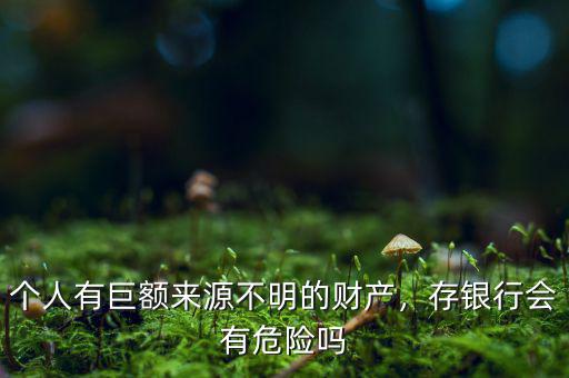 個(gè)人有巨額來源不明的財(cái)產(chǎn)，存銀行會(huì)有危險(xiǎn)嗎