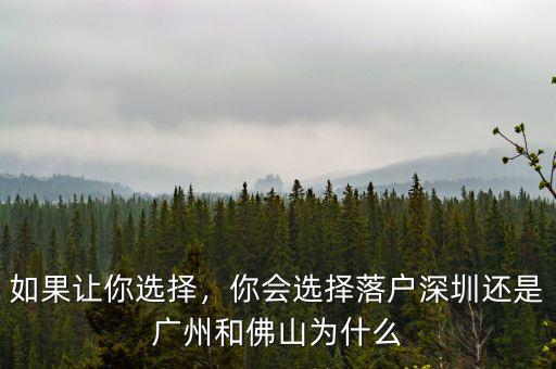 如果讓你選擇，你會(huì)選擇落戶深圳還是廣州和佛山為什么