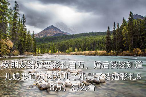 女朋友結(jié)婚要彩禮百萬，婚后婆婆知道兒媳要百萬因?yàn)閮鹤有【俗咏Y(jié)婚彩禮88萬，怎么看