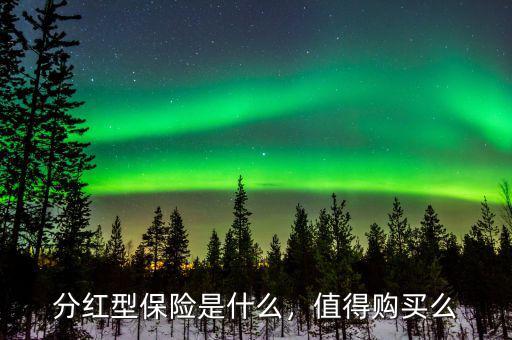 分紅型保險(xiǎn)是什么，值得購(gòu)買(mǎi)么