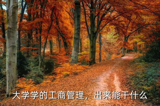 大學(xué)學(xué)的工商管理，出來能干什么