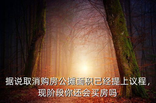 據(jù)說(shuō)取消購(gòu)房公攤面積已經(jīng)提上議程，現(xiàn)階段你還會(huì)買(mǎi)房嗎
