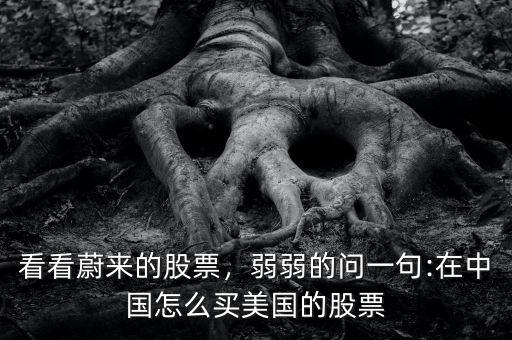 看看蔚來的股票，弱弱的問一句:在中國(guó)怎么買美國(guó)的股票