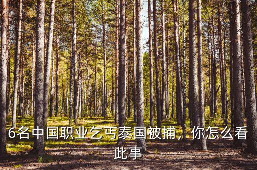 6名中國職業(yè)乞丐泰國被捕，你怎么看此事
