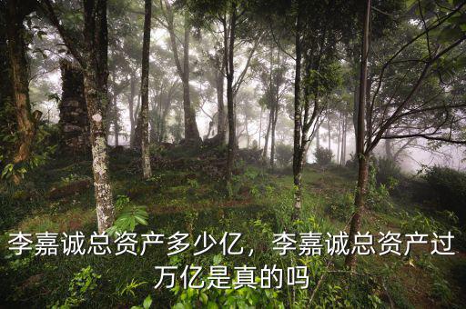 李嘉誠總資產(chǎn)多少億，李嘉誠總資產(chǎn)過萬億是真的嗎