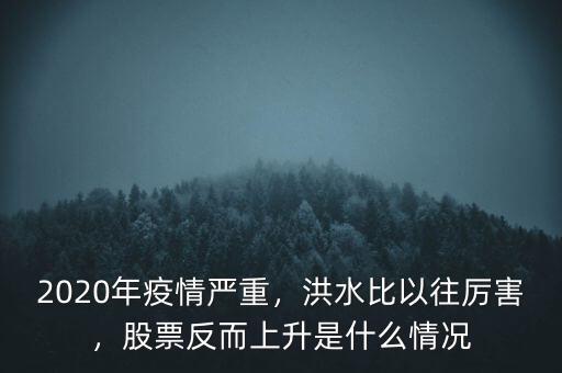 2020年疫情嚴重，洪水比以往厲害，股票反而上升是什么情況