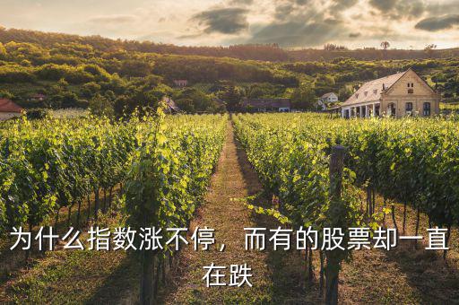 為什么指數(shù)漲不停，而有的股票卻一直在跌