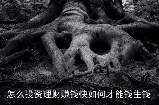 怎么投資理財(cái)賺錢(qián)快如何才能錢(qián)生錢(qián)