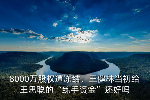 8000萬(wàn)股權(quán)遭凍結(jié)，王健林當(dāng)初給王思聰?shù)摹熬毷仲Y金”還好嗎