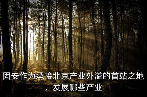固安作為承接北京產(chǎn)業(yè)外溢的首站之地，發(fā)展哪些產(chǎn)業(yè)