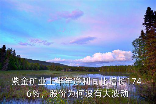 紫金礦業(yè)上半年凈利同比增長(zhǎng)174.6％，股價(jià)為何沒有大波動(dòng)