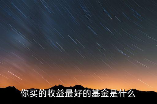 你買的收益最好的基金是什么