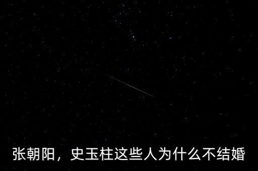 張朝陽，史玉柱這些人為什么不結(jié)婚