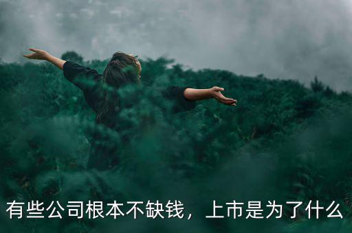 有些公司根本不缺錢，上市是為了什么
