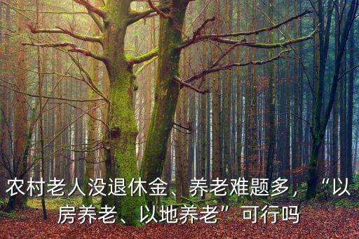 農(nóng)村老人沒退休金、養(yǎng)老難題多，“以房養(yǎng)老、以地養(yǎng)老”可行嗎