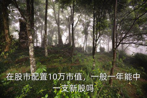 在股市配置10萬市值，一般一年能中一支新股嗎