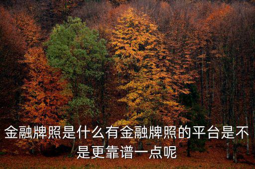金融9號(hào)牌是什么意思,請(qǐng)問(wèn)什么是消費(fèi)金融