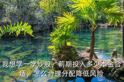 我想學一學炒股，前期投入多少本金合適，怎么合理分配降低風險