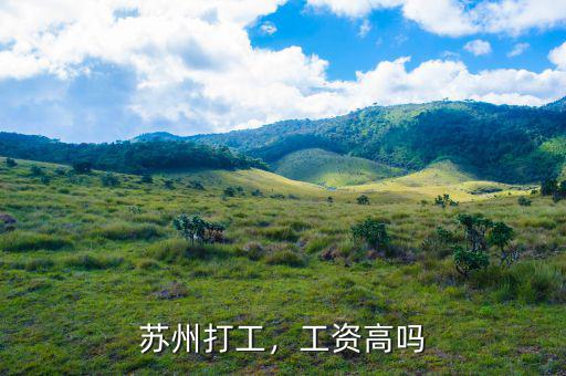 蘇州打工，工資高嗎