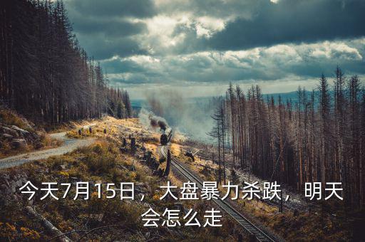 今天7月15日，大盤暴力殺跌，明天會怎么走