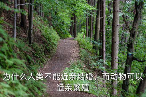 為什么人類不能近親結(jié)婚，而動物可以近親繁殖