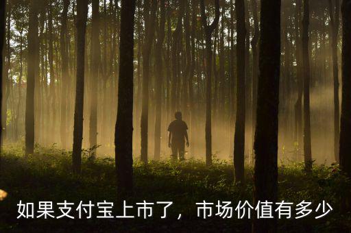 如果支付寶上市了，市場(chǎng)價(jià)值有多少