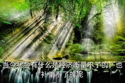 當今社會有什么是經(jīng)濟衡量不了的，也補償不了的呢