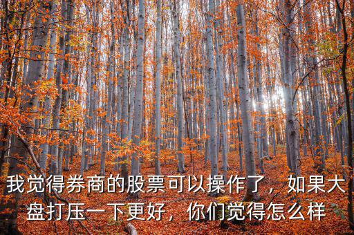 我覺得券商的股票可以操作了，如果大盤打壓一下更好，你們覺得怎么樣