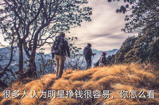 很多人認(rèn)為明星掙錢很容易，你怎么看