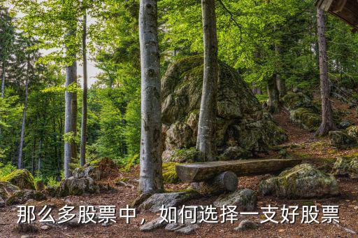 那么多股票中，如何選擇一支好股票
