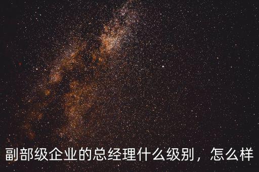 副部級企業(yè)的總經理什么級別，怎么樣