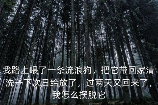 我路上喂了一條流浪狗，把它帶回家清洗一下次日給放了，過兩天又回來了，我怎么擺脫它