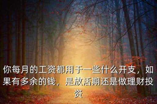 你每月的工資都用于一些什么開支，如果有多余的錢，是放活期還是做理財投資