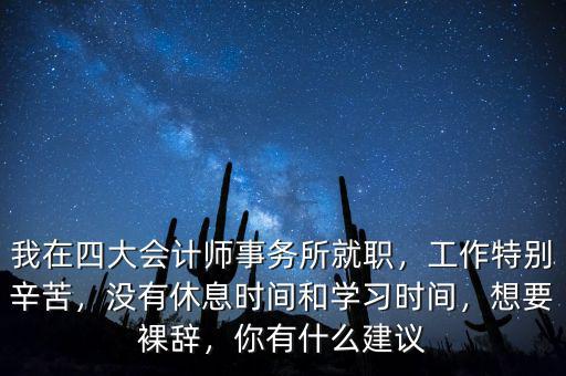 四大的審計(jì)做什么,聽說(shuō)四大主要做審計(jì)和咨詢
