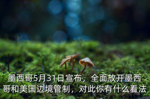 墨西哥5月31日宣布，全面放開墨西哥和美國(guó)邊境管制，對(duì)此你有什么看法