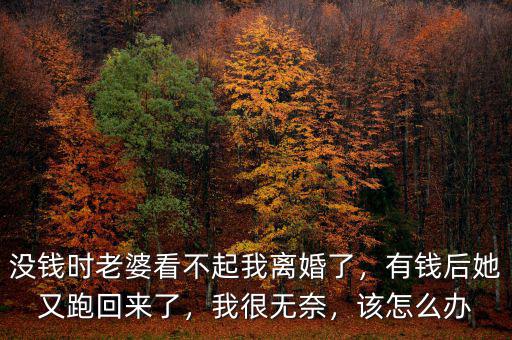 沒錢時老婆看不起我離婚了，有錢后她又跑回來了，我很無奈，該怎么辦