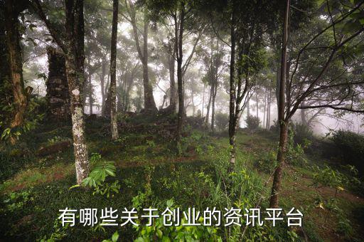 關于創(chuàng)業(yè)的是什么網(wǎng),互聯(lián)網(wǎng) 創(chuàng)業(yè)的趨勢是什么