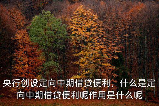 央行創(chuàng)設(shè)定向中期借貸便利，什么是定向中期借貸便利呢作用是什么呢