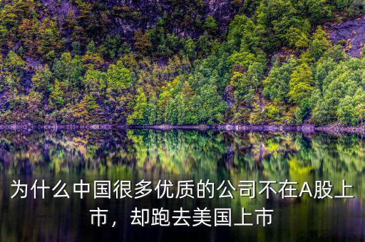 為什么中國很多優(yōu)質(zhì)的公司不在A股上市，卻跑去美國上市