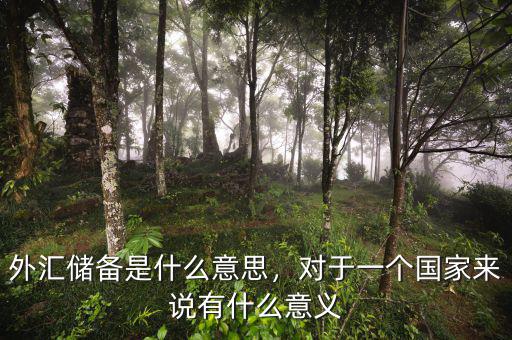 外匯儲備是什么意思，對于一個國家來說有什么意義