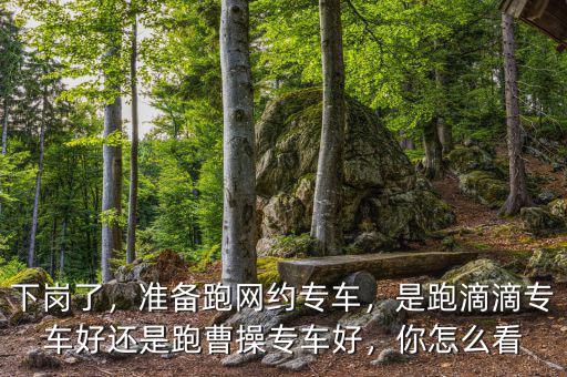 下崗了，準備跑網(wǎng)約專車，是跑滴滴專車好還是跑曹操專車好，你怎么看