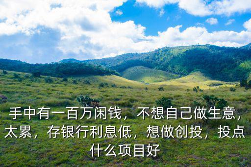 手中有一百萬(wàn)閑錢(qián)，不想自己做生意，太累，存銀行利息低，想做創(chuàng)投，投點(diǎn)什么項(xiàng)目好