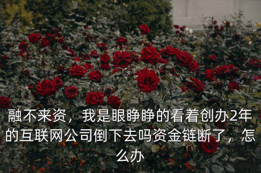 融不來資，我是眼睜睜的看著創(chuàng)辦2年的互聯(lián)網(wǎng)公司倒下去嗎資金鏈斷了，怎么辦