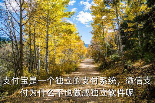 支付寶是一個(gè)獨(dú)立的支付系統(tǒng)，微信支付為什么不也做成獨(dú)立軟件呢