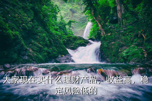 大家現(xiàn)在買什么理財(cái)產(chǎn)品，收益高，穩(wěn)定風(fēng)險(xiǎn)低的